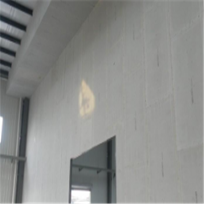 石阡宁波ALC板|EPS加气板隔墙与混凝土整浇联接的实验研讨
